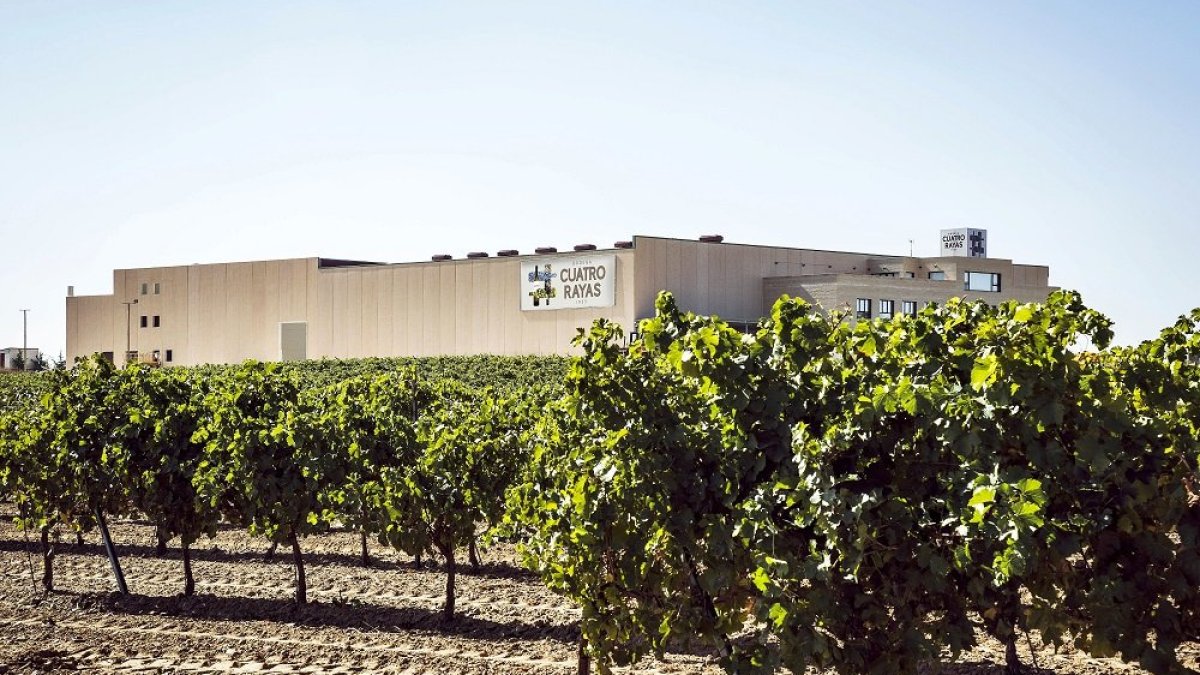 Bodega Cuatro Rayas, en la localidad vallisoletana de La Seca. Una de la cooperativas que podrán visitarse en el marco del programa de Urcacyl / CUATRO RAYAS