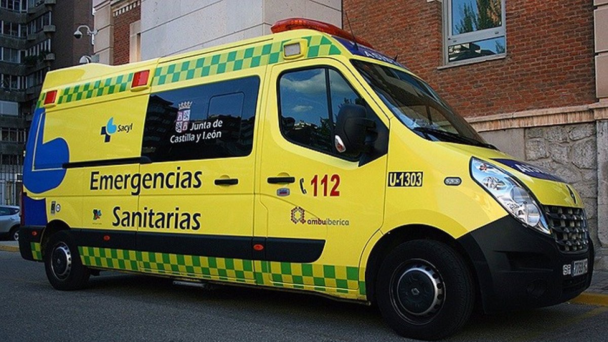Fallece por picadura de avispa un hombre de 64 años en Molinos de Duero (Soria). ARCHIVO JCYL