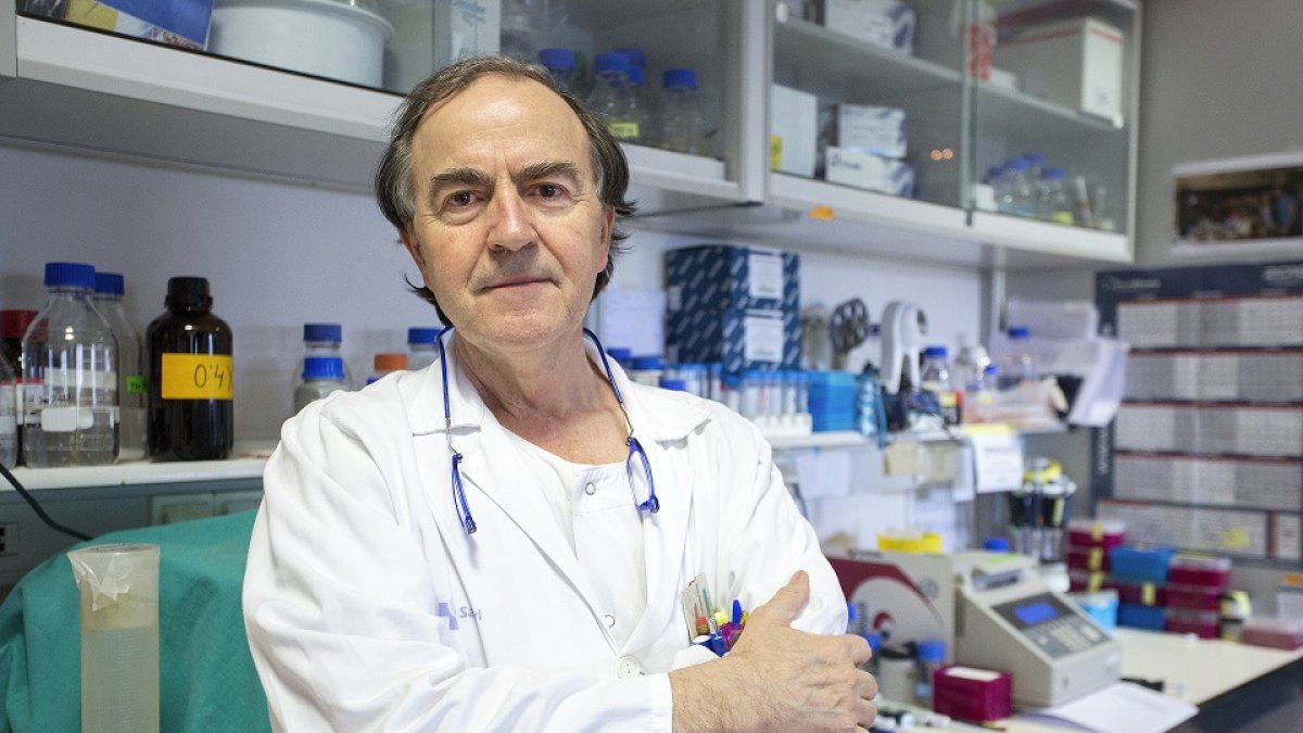Marcos González, jefe de Hematología en el Hospital Clínico Universitario de Salamanca. EL MUNDO