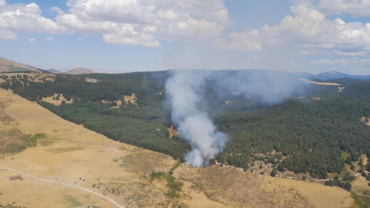 Un incendio forestal ocasionado durante este verano. Twitter: @naturalezacyl