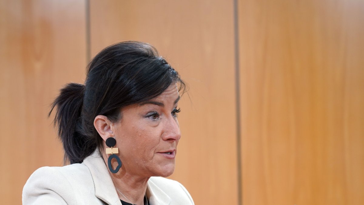 La secretaria de Organización del PSOECyL, Ana Sánchez, durante la rueda de prensa. ICAL