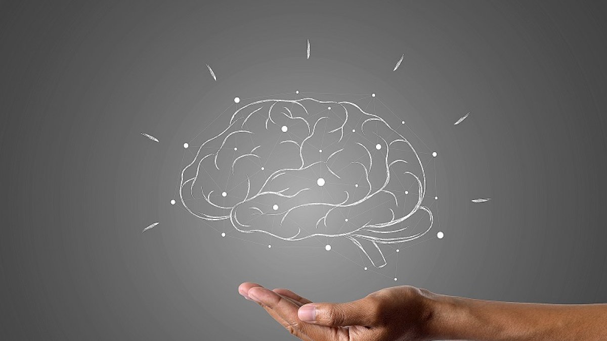 brain writes with white chalk is on hand, draw concept.