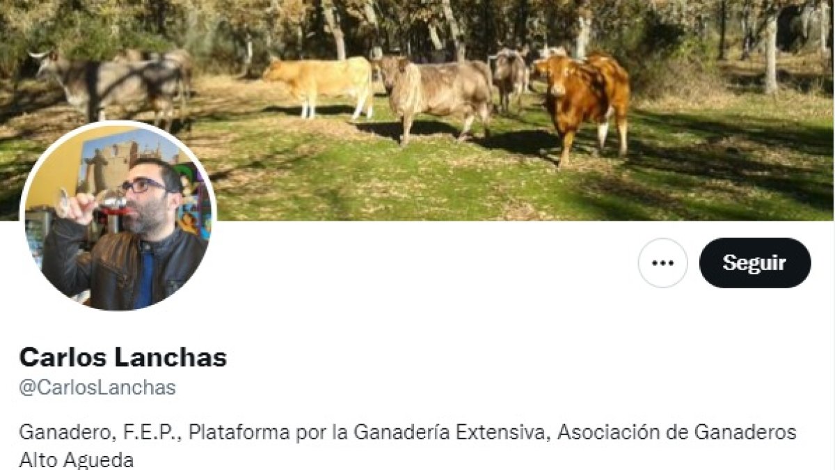 Perfil de Twitter de Carlos Lanchas. - EM