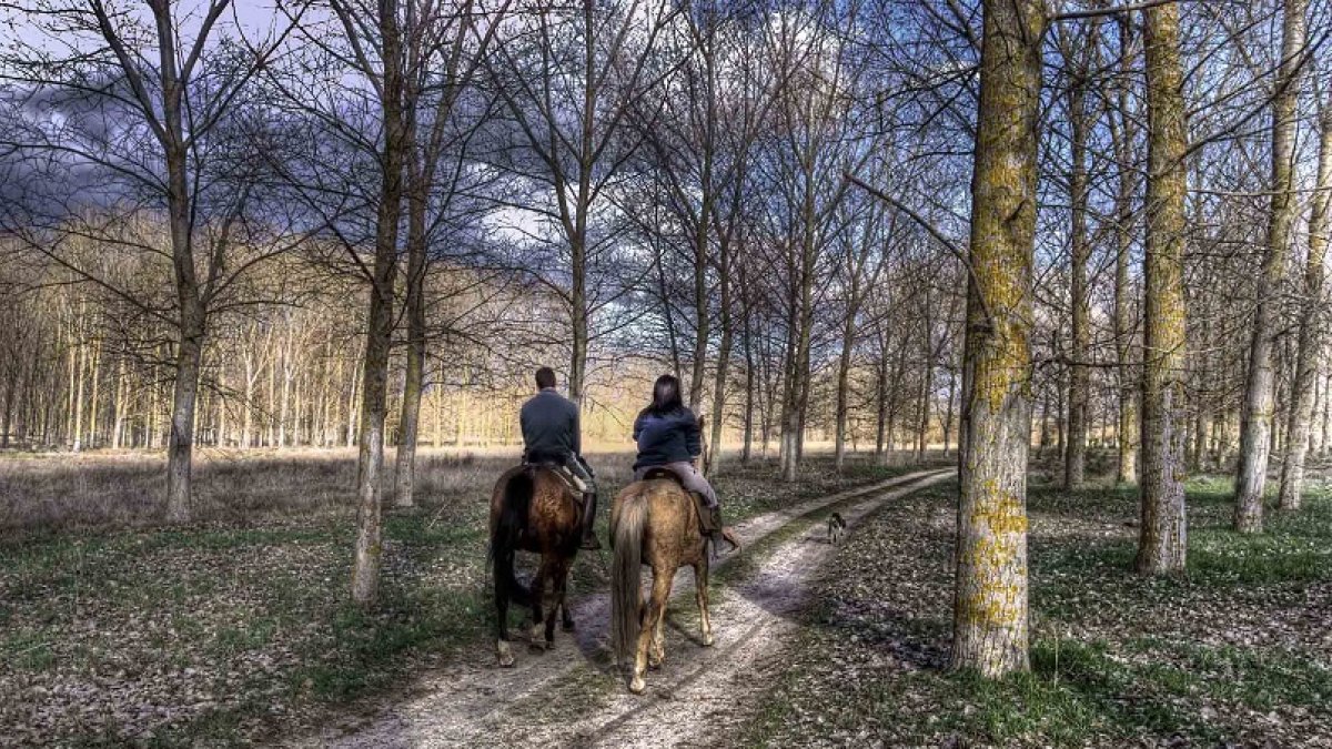 Paseo a caballo por el Espadañal, una gran extensión de agua donde podremos encontrar la más variada fauna de la comarca de Cuéllar. / JUAN CARLOS DE LA FUENTE