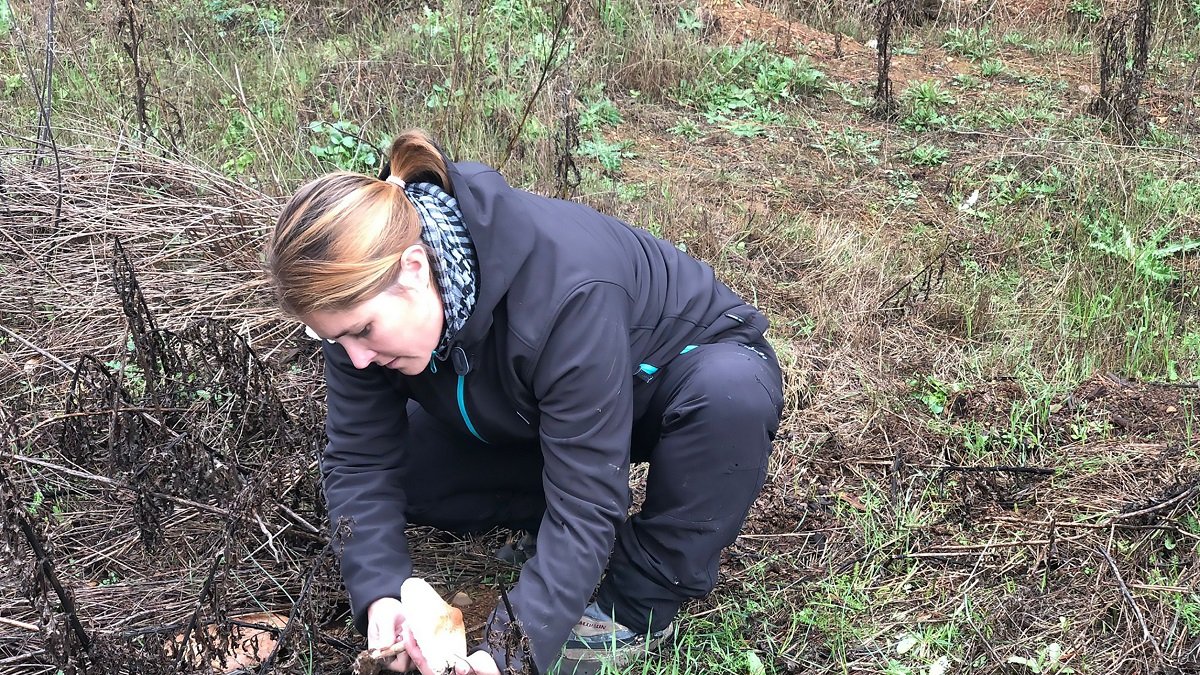 En EntreSetas todo está pensado en clave medioambiental. Consumen el mínimo de agua. Sus setas son de crecimiento lento al respetar los ciclos de luz, lo que les aporta mayor sabor y aroma / LA POSADA