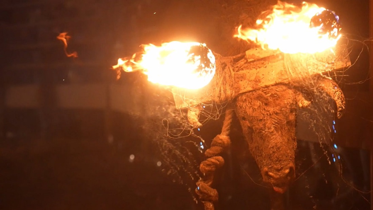 Pacma tomará medidas legales por el evento del Toro de Júbilo de Medinaceli (Soria), el 