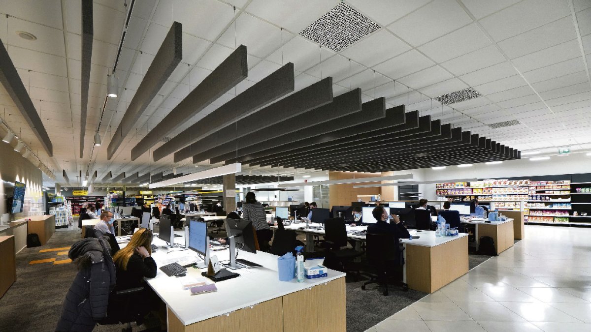 ESPACIOS NUEVOS DE OFICINAS EN JARRODS, Y CARTELERIA DEL PROYECTO 6,25 SOBRE MEDIO AMBIENTE Y PLASTICOS.