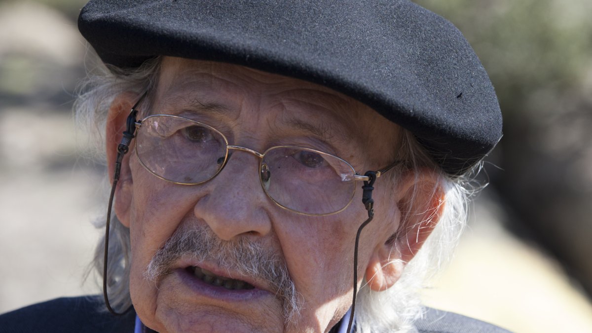 Bosque de Olmos de Agustín Ibarrola en Salamanca - ICAL