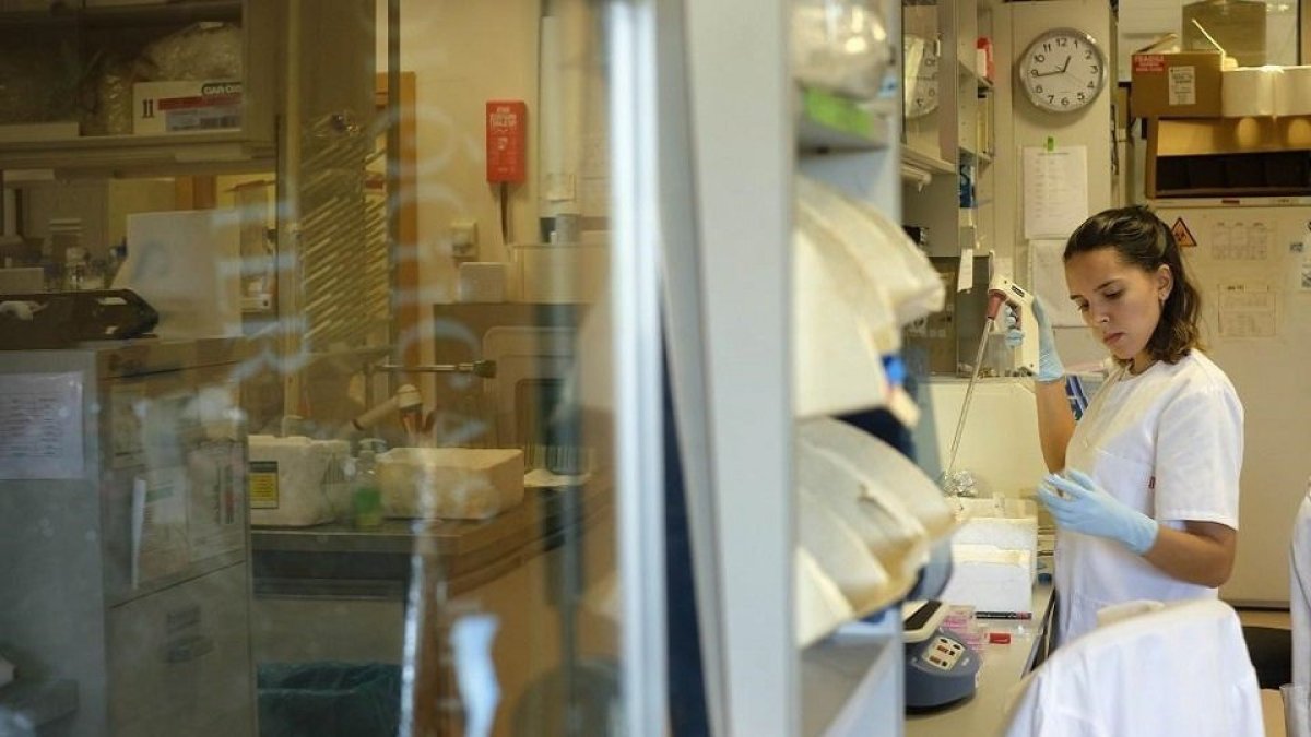 Una investigadora en uno de los laboratorios del Centro de Investigación del Cáncer de Salamanca. ENRIQUE CARRASCAL