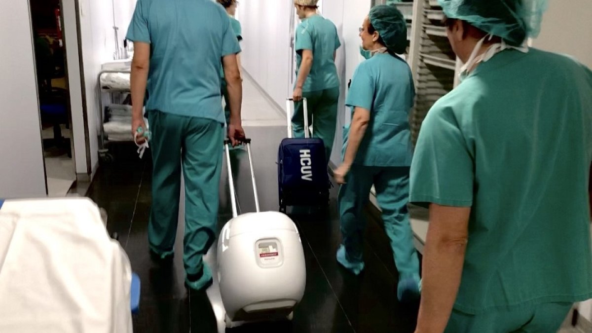 Varios profesionales transportan el corazón protegido con este innovador sistema en el Clínico. EL MUNDO