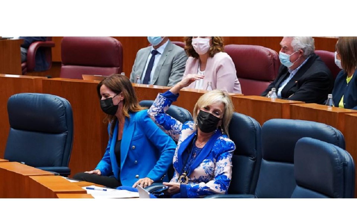 La consejera de Sanidad, Verónica Casado, gesticula durante el Pleno de las Cortes. - ICAL