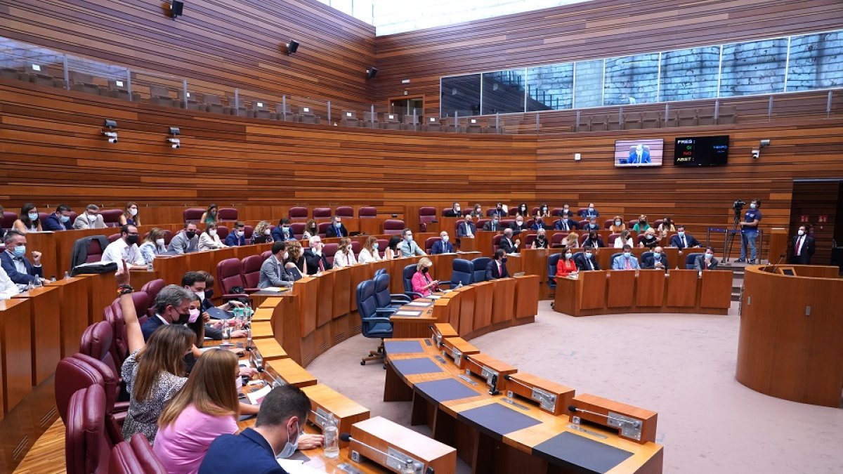 Pleno en las Cortes de Castilla y León. - ICAL