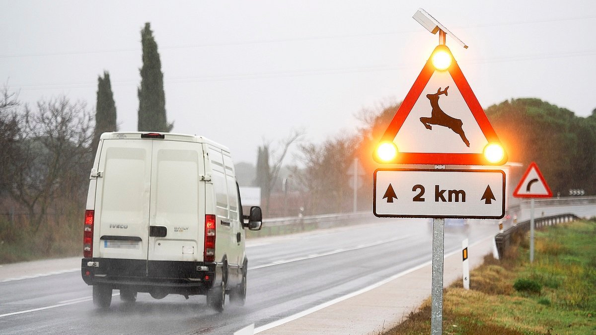 Nueva señal luminosa en la N-122 a la Quintanilla de Arriba, el tramo con mayor accidentalidad por animales de Castilla y León.- PHOTOGENIC