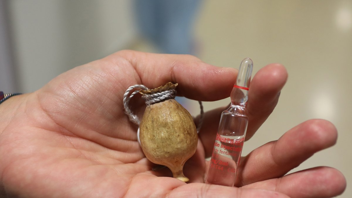 Uso del fentanilo en la unidad del dolor del hospital Río Carrión de Palencia. En la imagen un inyectable de fentanilo, opiaceo sintético, junto a un capullo de adormidera.- ICAL