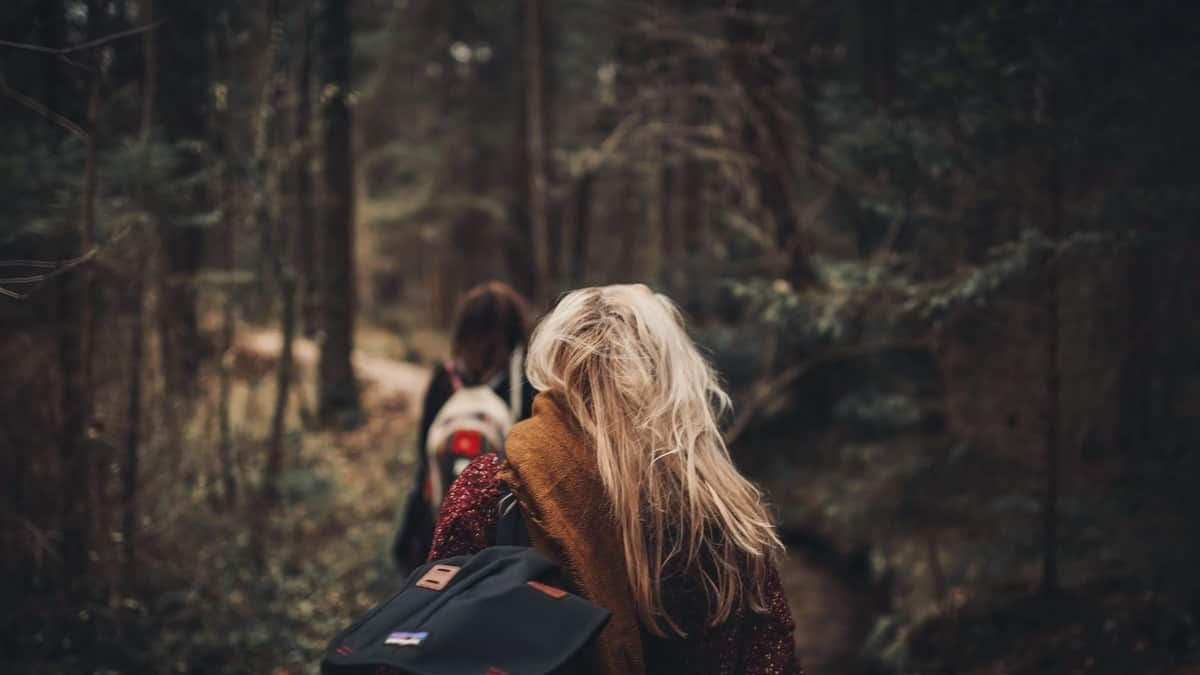 Qué ver en Soria: planes imprescindibles para conocer la ciudad Foto: Pexels