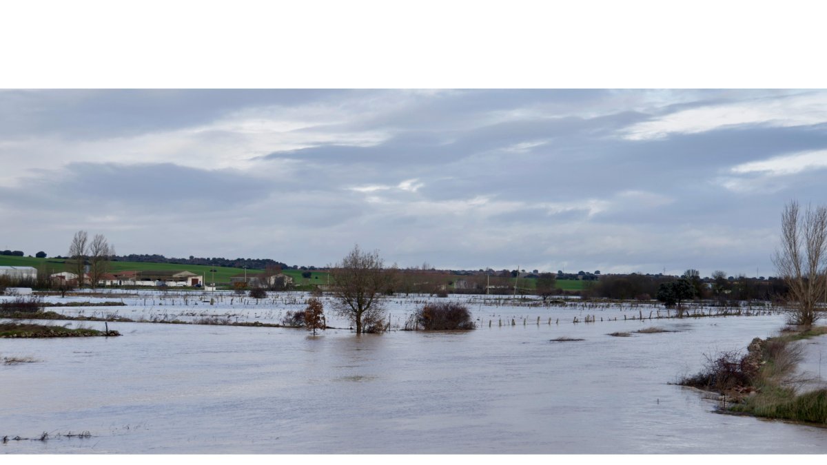 Las fuertes lluvias caídas en la provincia de Salamanca dejan inundaciones en pueblos y campos de cultivo - ICAL