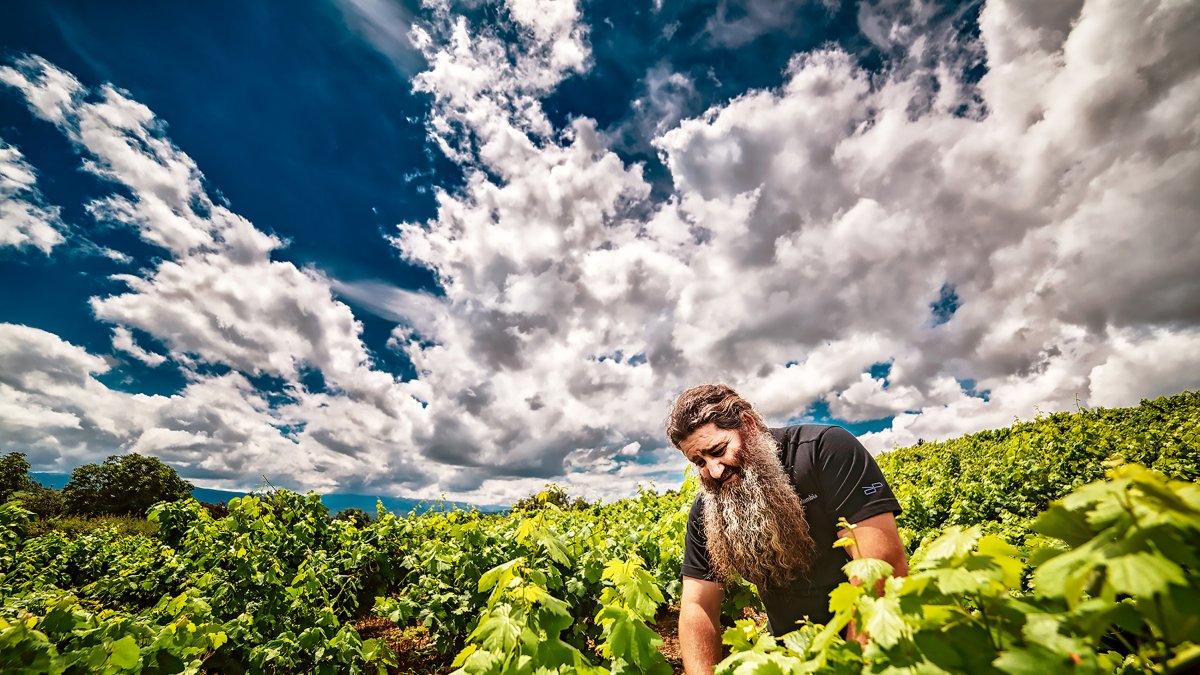 Raúl Pérez vinifica por parcelas. Sus elaboraciones son la máxima expresión del terroir. En la imagen, en una de las fincas que rodean su Bierzo natal. / LA POSADA