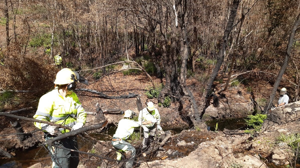 Actuaciones Incendio Sierra La Culebra 3 cabecera arroyo Riofrío