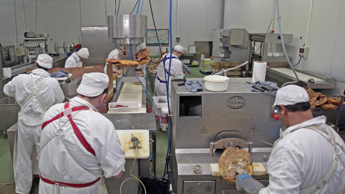 Imagen de las instalaciones de la empresa sampedrana. / HDS