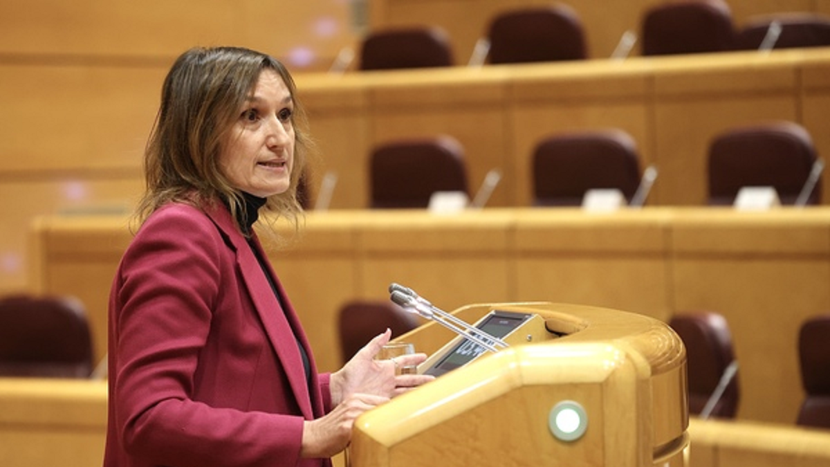 La consejera de Educación, Rocío Lucas, interviene en la Comisión General de las Comunidades Autónomas de la Cámara Alta. Juan Lázaro/ Ical