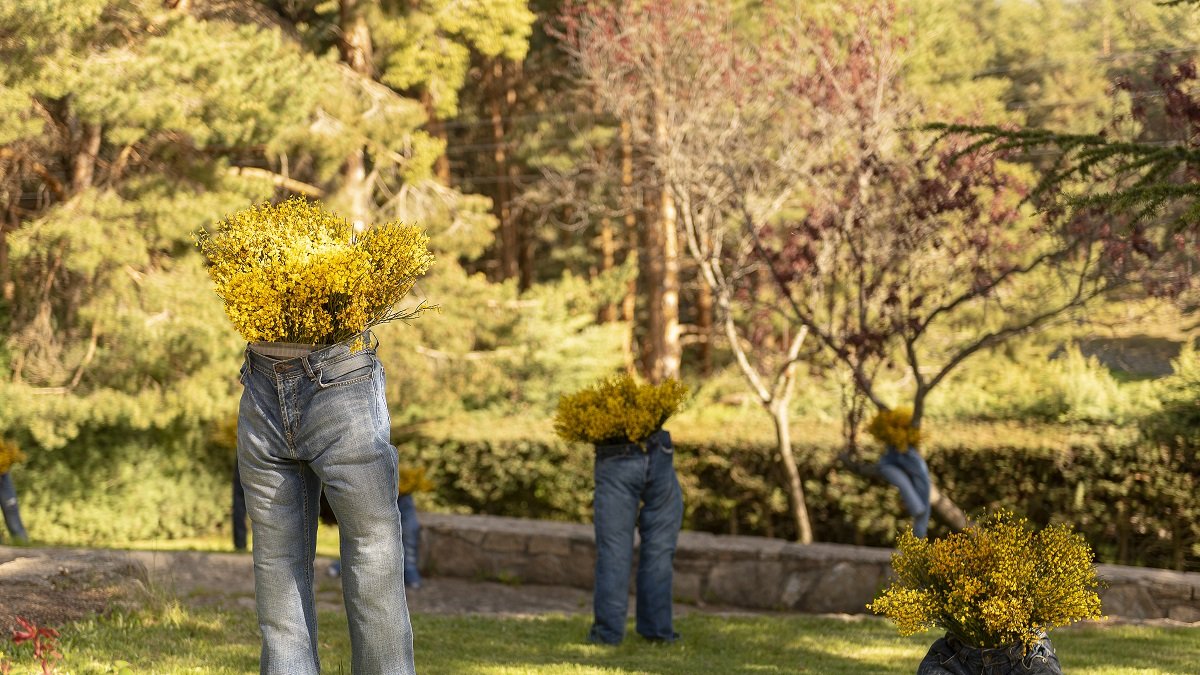 Decoración artística en Navarredonda de Gredos para el concurso floral que organiza el Festival del Piorno en Flor.- ASENORG-EDU HINOJAL FOTOGRAFÍA