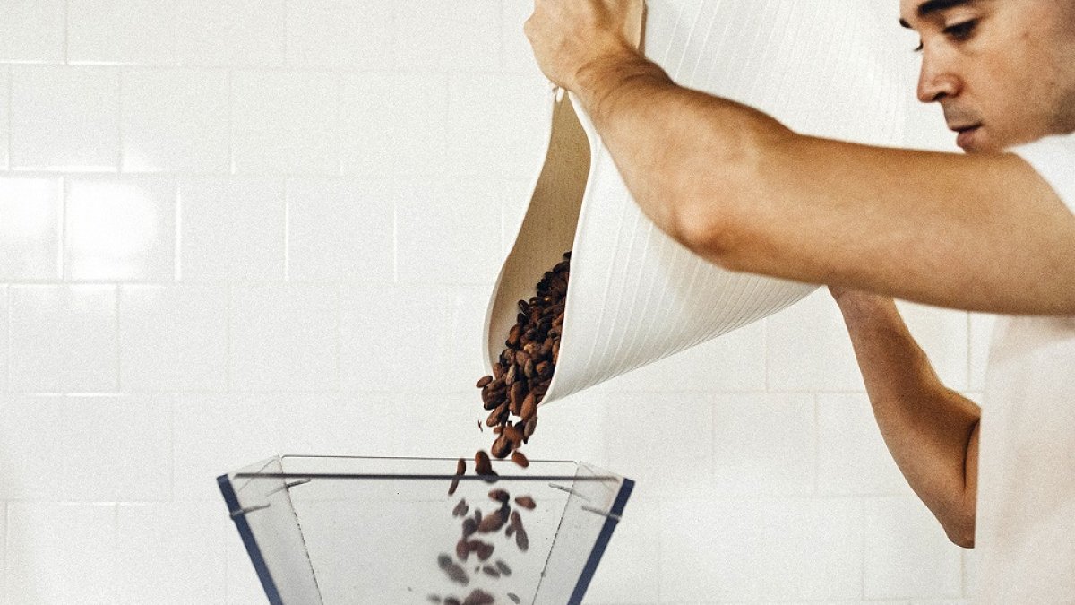 El chocolate ‘bean to bar’ controla todo el proceso desde el árbol. En la imagen, habas de cacao, una materia prima que adquieren a pequeños agricultores. / EL CARRUSEL
