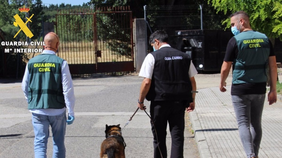 Agentes que han participado en la operación 'Troppo'. - EUROPA PRESS