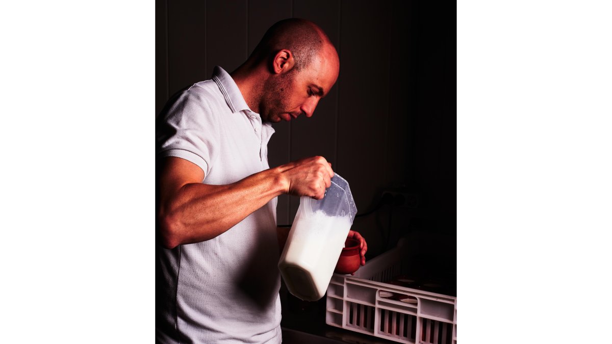 Darío Arribas es el maestro quesero de esta empresa familiar que cuida de su propia ganadería.  / J. FERNÁNDEZ