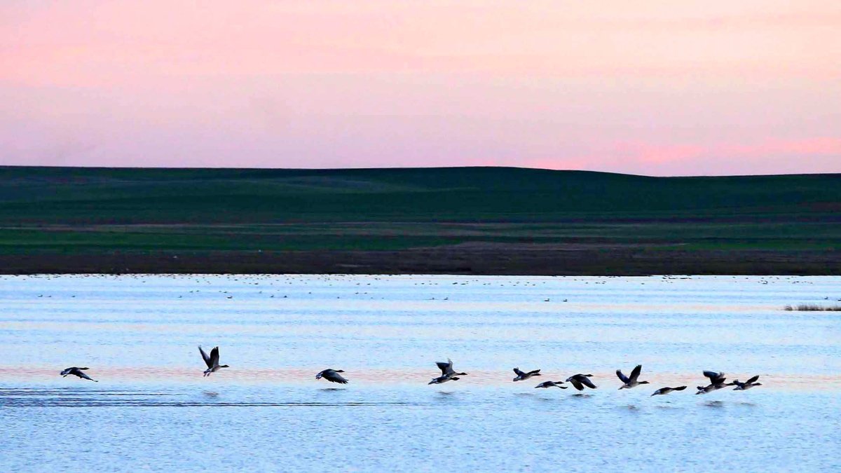 Imagen  bucólica del atardecer en la Reserva de Villafáfila que alcanza su esplendor en invierno.  -ICAL
