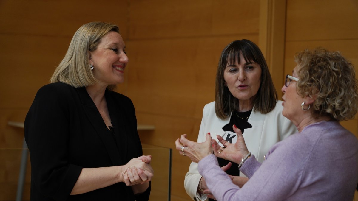 La consejera de Familia e Igualdad de Oportunidades, Isabel Blanco, comparece ante la Comisión de Economía y Hacienda de las Cortes de Castilla y León. -ICAL