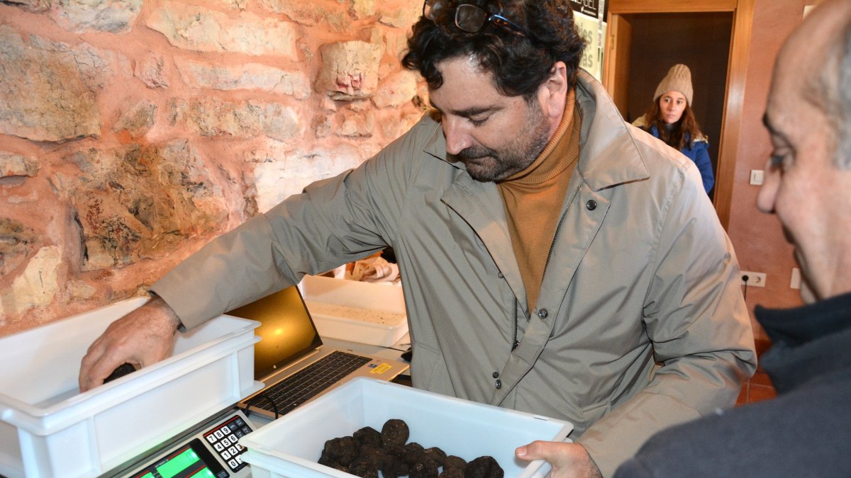 Clasificando trufas para uno de los lotes que salen a subasta. RAQUEL FERNANDEZ