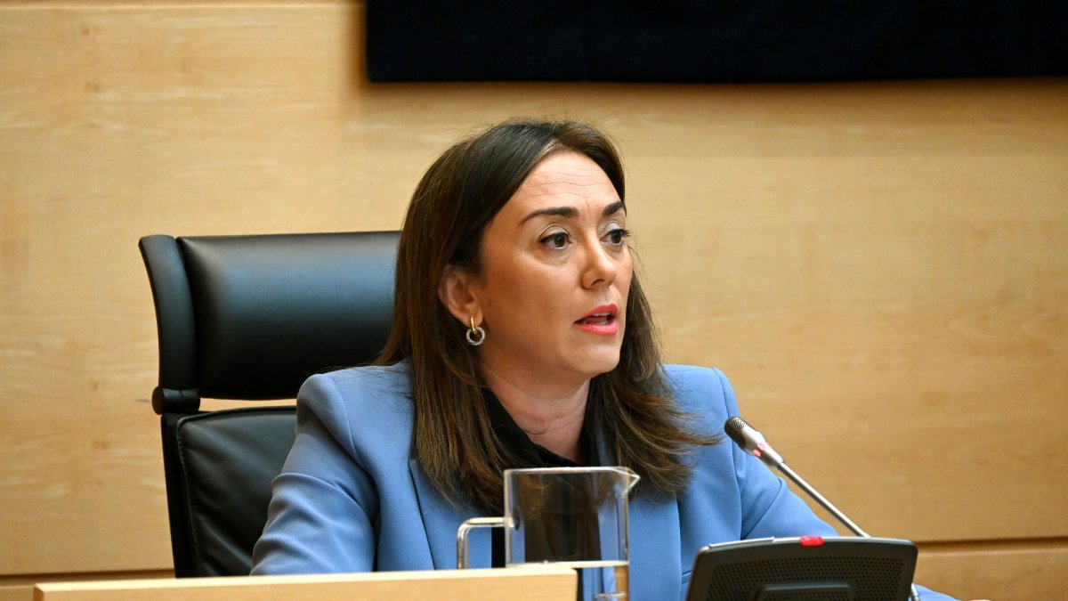 La consejera de Movilidad y Transformación Digital, maría González Corral, durante la comparecencia en las Cortes.- E. M.