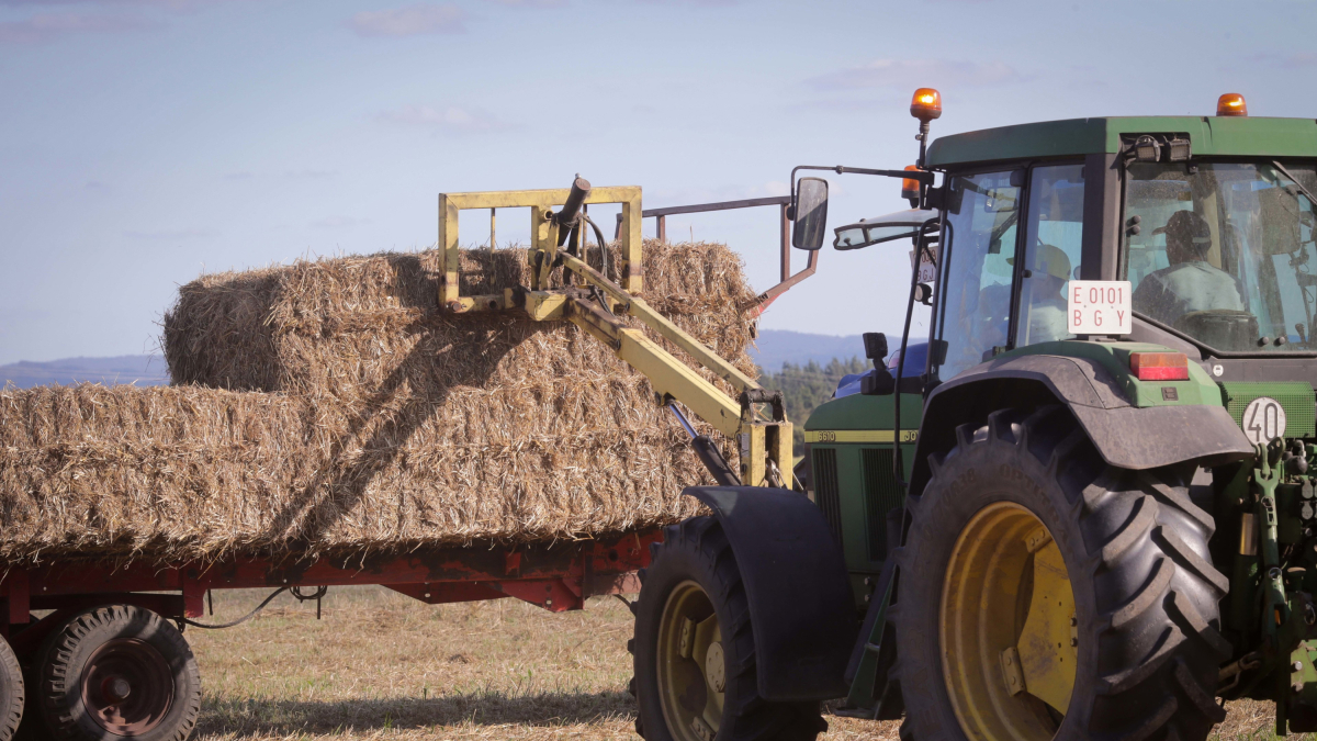 Un trabajo trabaja en el campo, en una imagen de archivo