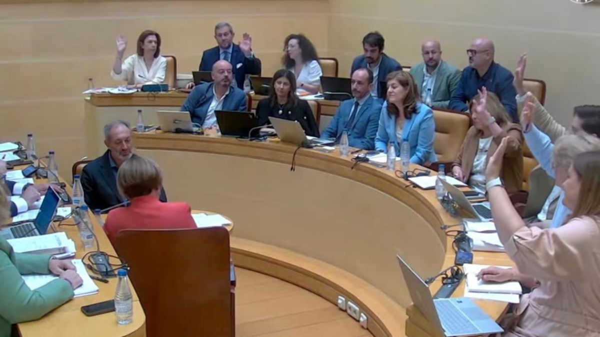 Pleno del Ayuntamiento de Segovia.