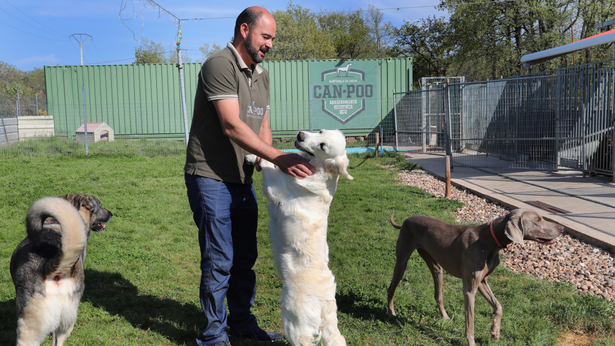 Centro canino Can-poo que funciona como guardería para que los dueños dejen a sus mascotas alojadas mientras se van de vacaciones