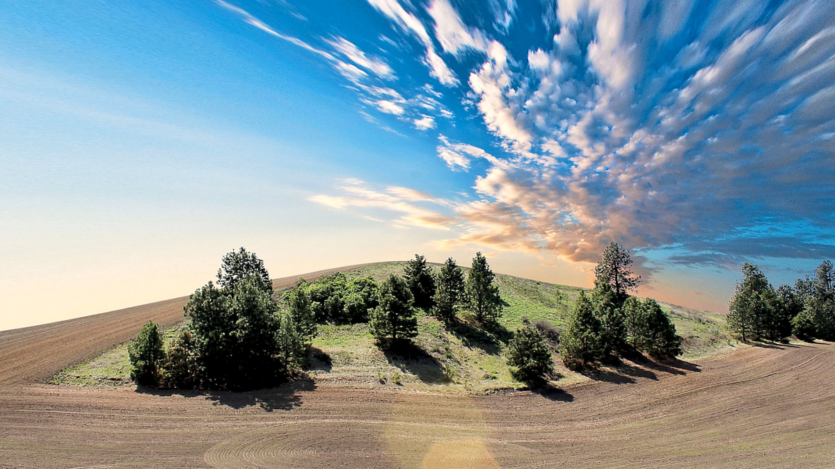 Campo de cultivo junto a tierra de monte. Se excluye del cambio de uso a las pendientes de más del 15%.