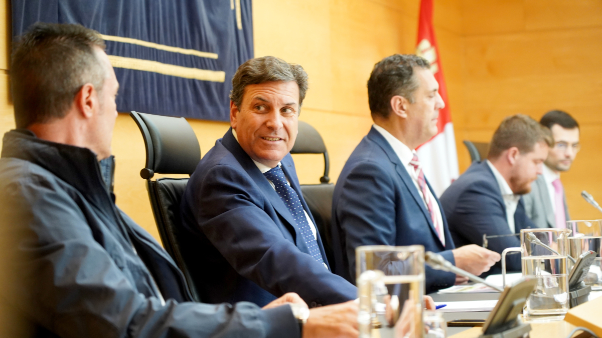 El consejero de Economía y Hacienda, Carlos Fernández Carriedo, en un instante de la comisión