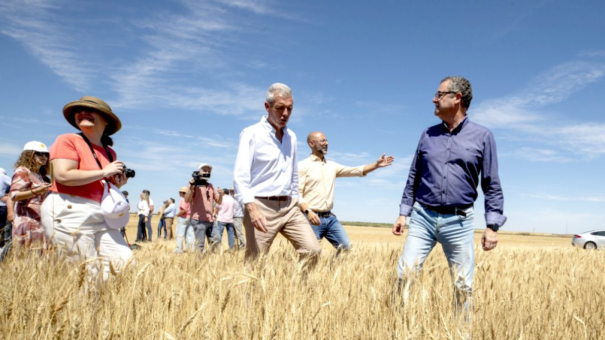 Gerardo Dueñas presenta la previsión de cosecha de cereal de invierno. ICAL