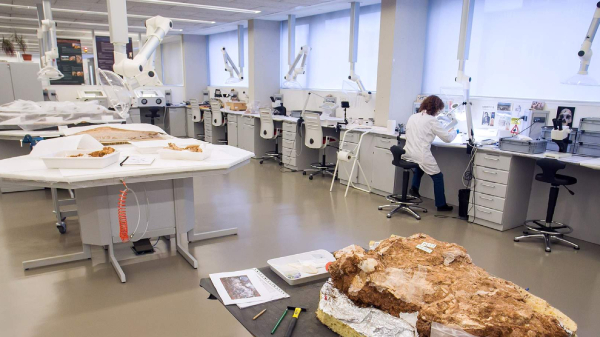 Laboratorio de Conservación y Restauración de piezas del Cenieh.