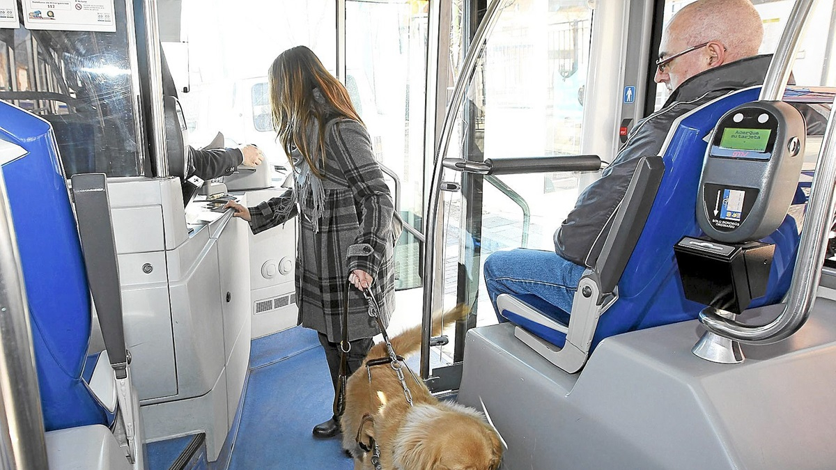 Una persona invidente accede al autobús con su perro guía, en una imagen de archivo.