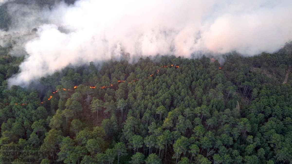 Incendio en Ávila JCyL