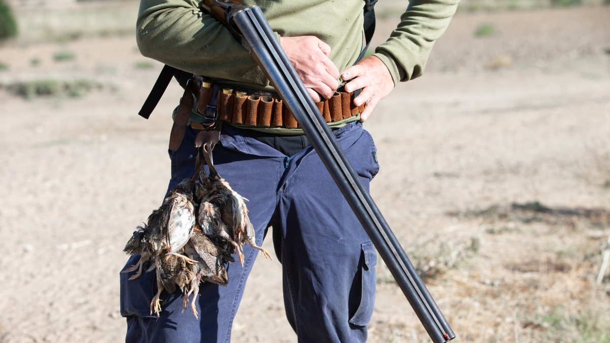 Una persona cazando en una imagen de archivo