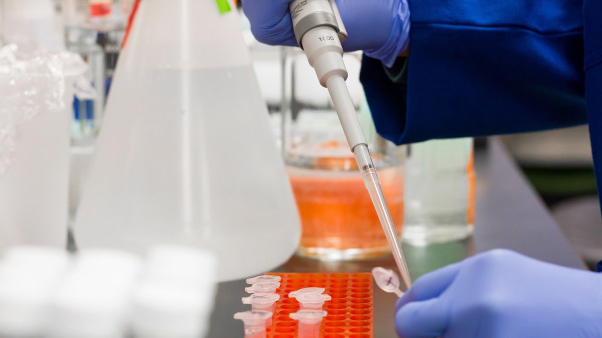 Archivo - Laboratorio de investigación.
