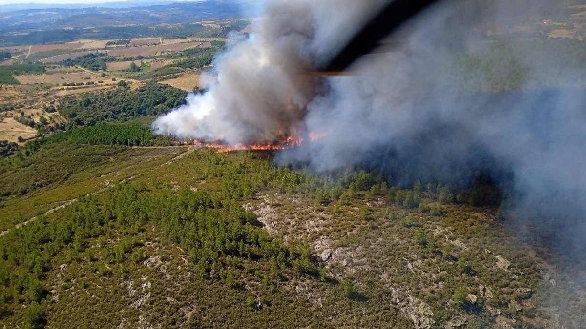 Incendio forestal en Trabazos, Zamora.
