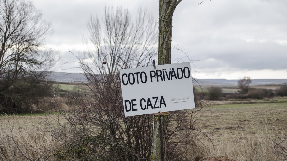 Imagen de un coto privado de caza.