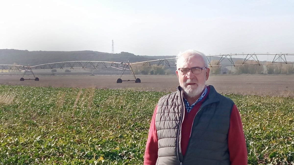 José Luis posa en una plantación de remolacha de la cooperativa.