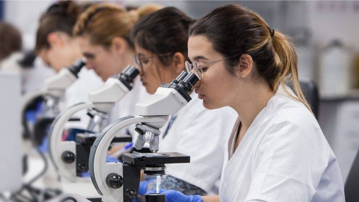 Grado Superior de Anatomía Patológica y Citodiagnóstico, una de las titulaciones más demandadas y con mejor salida.