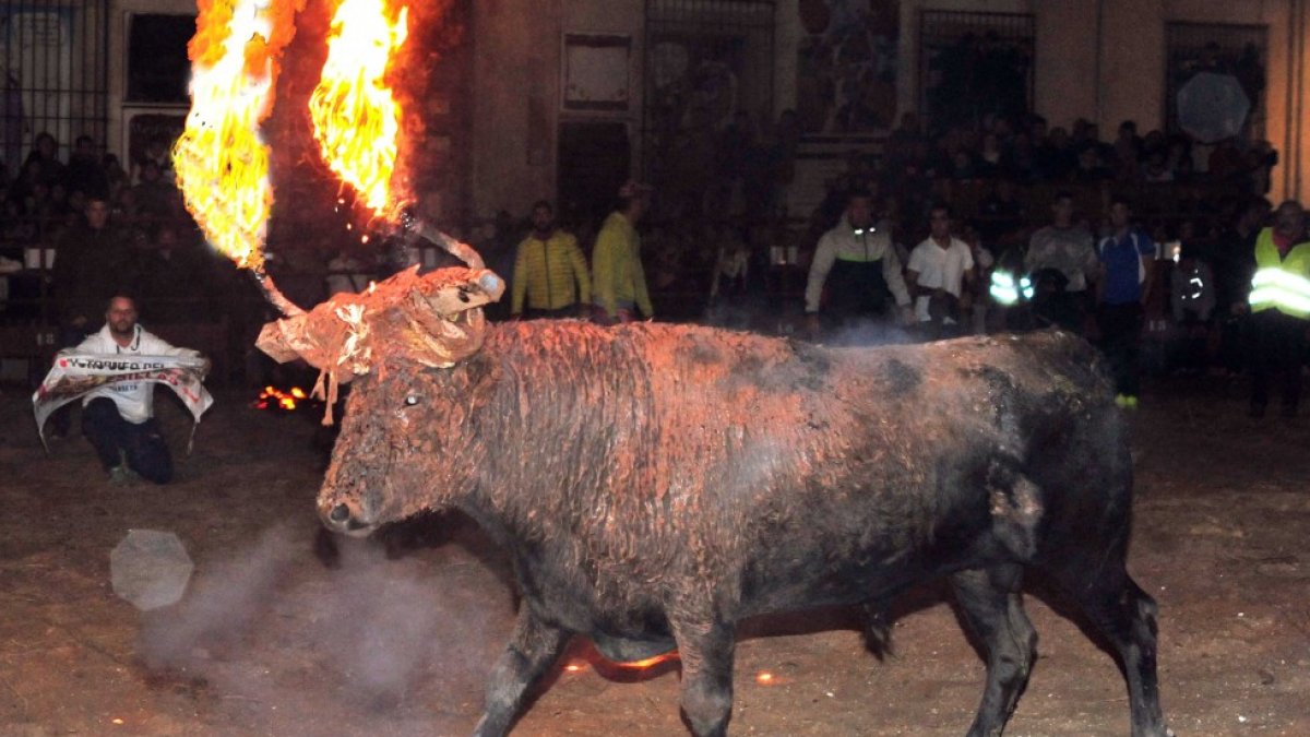 El Toro Jubilo en Medinaceli en una imagen de archivo.