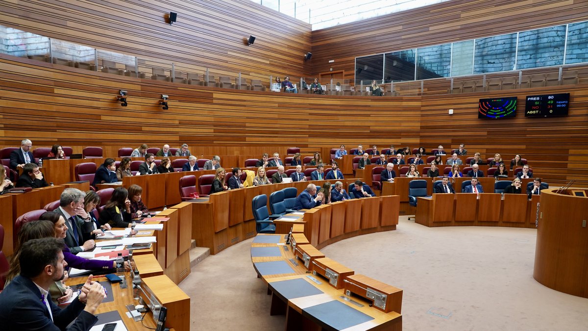Pleno de las Cortes de Castilla y León.