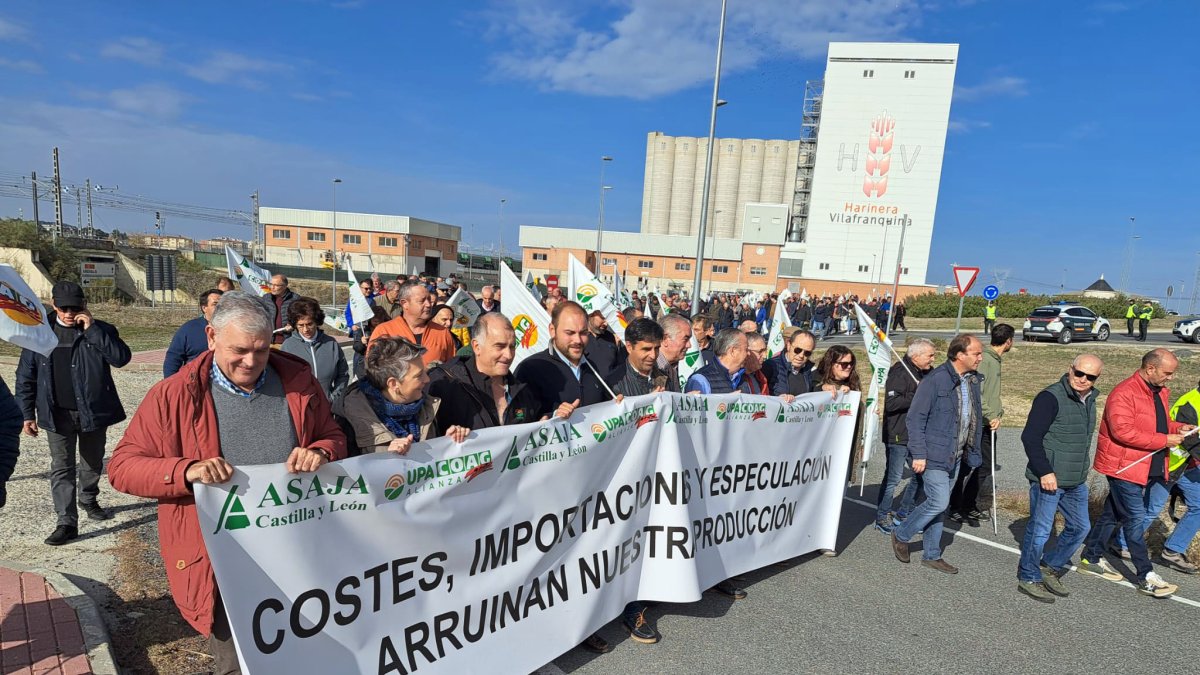 Asaja, UPA y COAG se movilizan para denunciar la crisis económica que sufre el sector del cereal